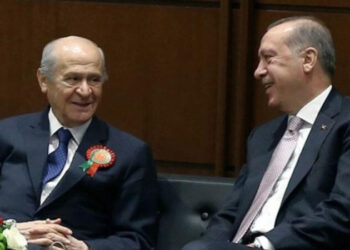 Bahçeli, Erdoğan’a çınar fidanı hediye etti