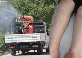 Sivrisinek istilasının görüldüğü ilçeler arttı