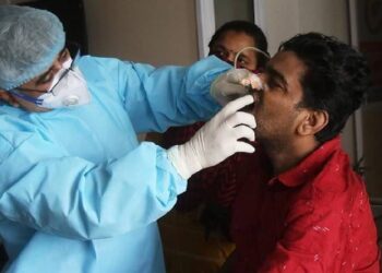 Kara mantar nedeniyle ölenlerin sayısında rekor artış