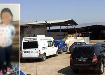 Küçük Zeynep yem karma makinesinde can verdi