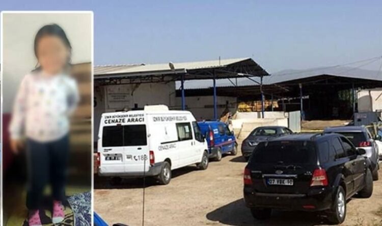 Küçük Zeynep yem karma makinesinde can verdi