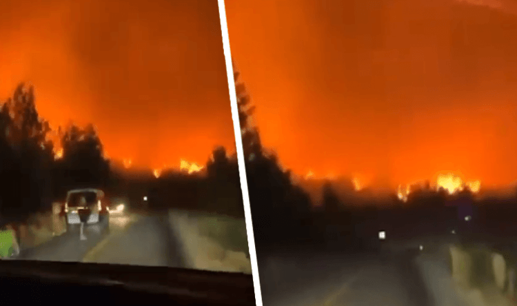 Durum vahim: Mazı için tahliye kararı