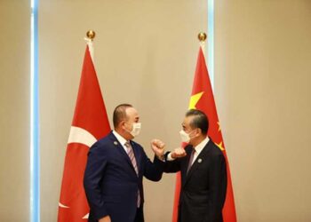 Wang Yi ile Çavuşoğlu görüştü