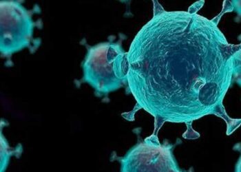 Çin: Virüsün çıkış noktasına ilişkin araştırmalar siyasileştirilmemeli