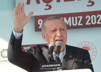 AKP’li vekilden, Erdoğan’ın Diyarbakır’da okuduğu şiirle ilgili ilginç iddia