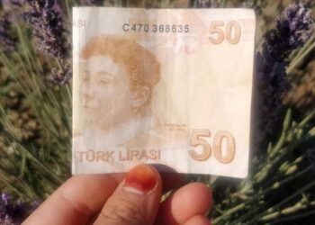Tarlada çalışan kadın işçilere dondurma alınması için para bıraktı