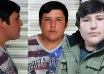 Tosuncuk Mehmet Aydın’ın teslim olmasında ‘mafya’ detayı