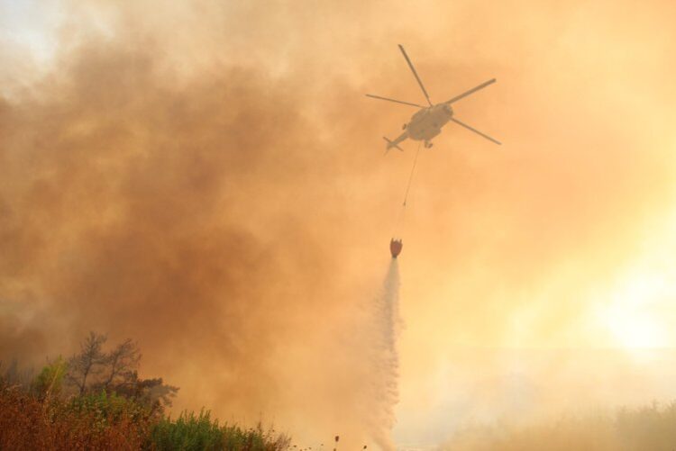 Orman Genel Müdürlüğü’nden ‘yangın’ açıklaması