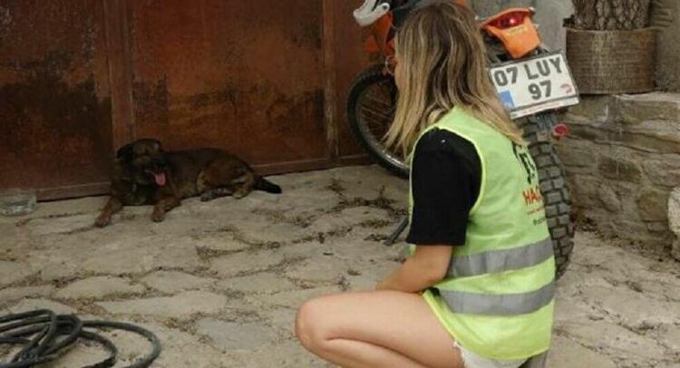 Sahiplerini yangında kaybetti, şimdi evlerinin önünden ayrılmıyor