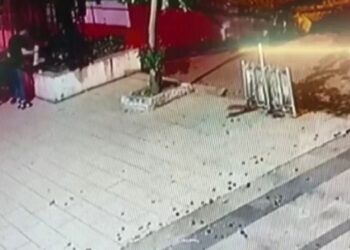 Bir saldırgan sokak kedisine işkence yaparak öldürdü