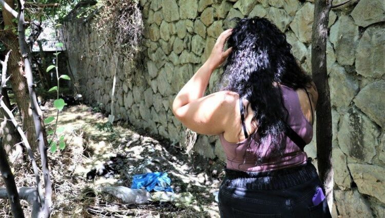 Bahçesinde 11 köpeğin cansız bedeni bulunan kadın tutuklandı