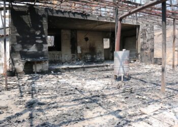 Çiftliği küle dönen kadın: “Cehennemi yaşadım”