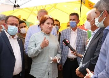 Akşener: Yanan alanlara dikilecek bütün betonları yıkacağız