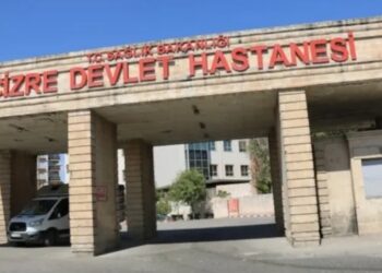 Cizre’de iki doktor günde 250 hasta kabul ediyor