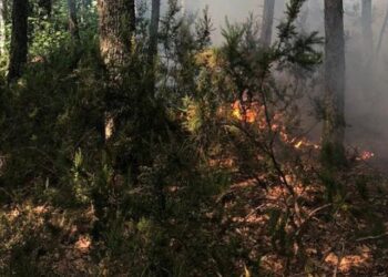 Ege Bölgesi ve Antalya’da turuncu kategoride