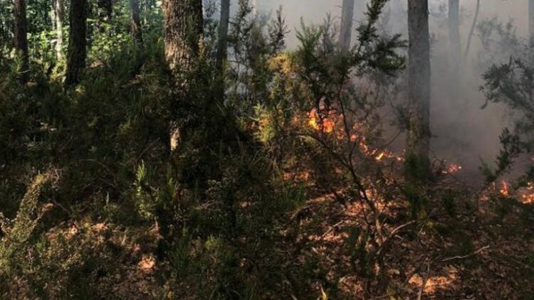 Ege Bölgesi ve Antalya’da turuncu kategoride