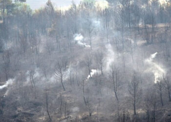 Cebrail Tümenci: Yangını bilerek söndürmediler