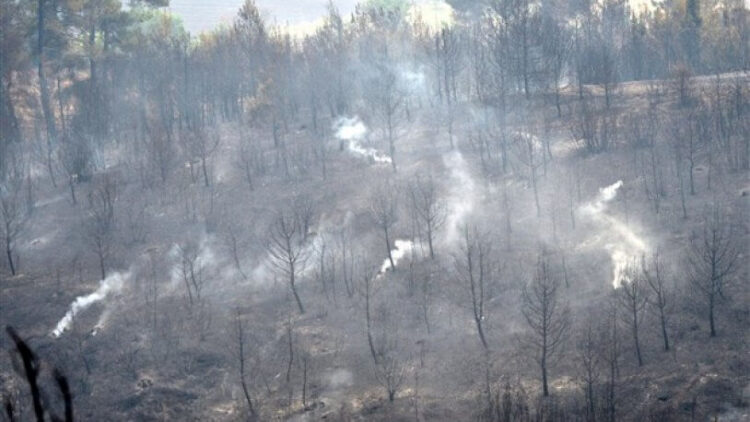 Cebrail Tümenci: Yangını bilerek söndürmediler