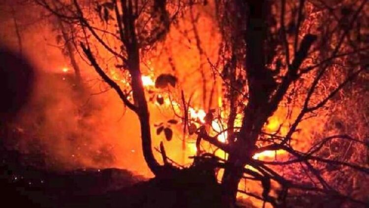 Bir yangın haberi de Samsun’dan: 7 hektarlık alan zarar gördü