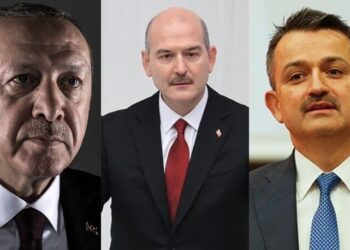Erdoğan, Süleyman Soylu ve Bekir Pakdemirli hakkında suç duyurusu