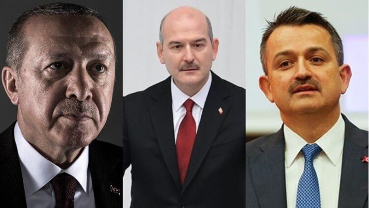 Erdoğan, Süleyman Soylu ve Bekir Pakdemirli hakkında suç duyurusu