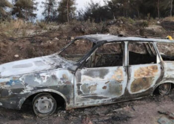 Otomobilde çıkan yangın 3 hektar alanı küle dönderdi