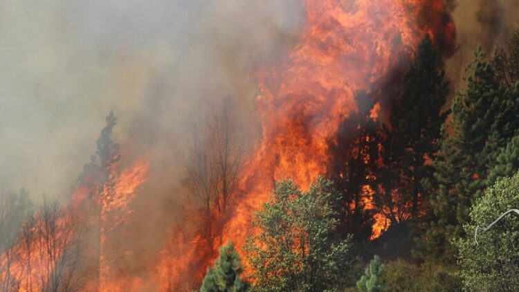 Yangında maddi zarara uğrayan yurttaşlara senet imzalatılıyor