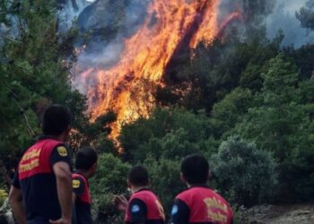 Orman yangınlarında son durum