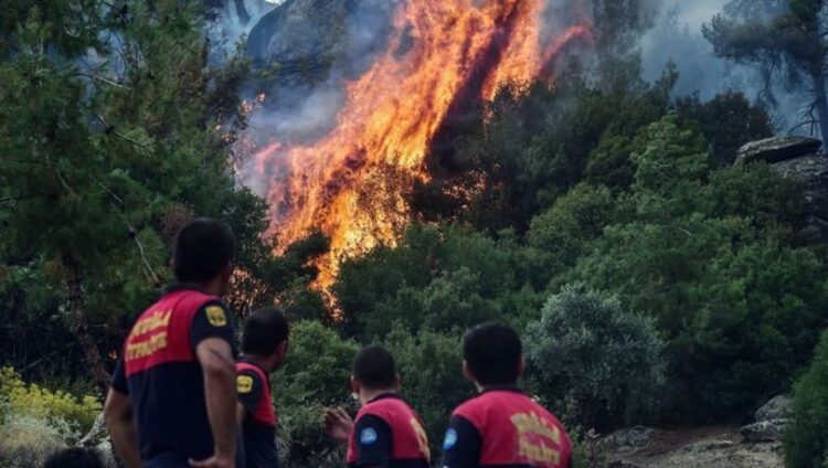 Orman yangınlarında son durum