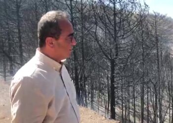 CHP’li Tezcan yangın alanlarını inceledi: AK Parti şımarıklığının tablosu