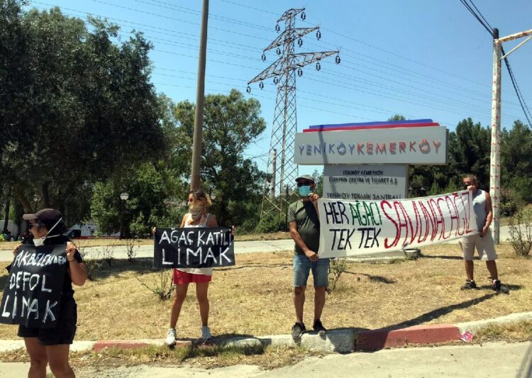 Yangın bahanesiyle işçilere ağaçları kestirdiler