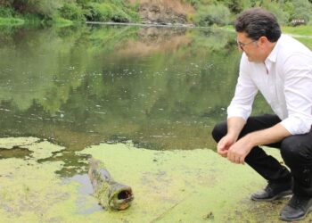 CHP’li Aytekin: “Kepsut’tan Marmara’ya zehir akıyor”