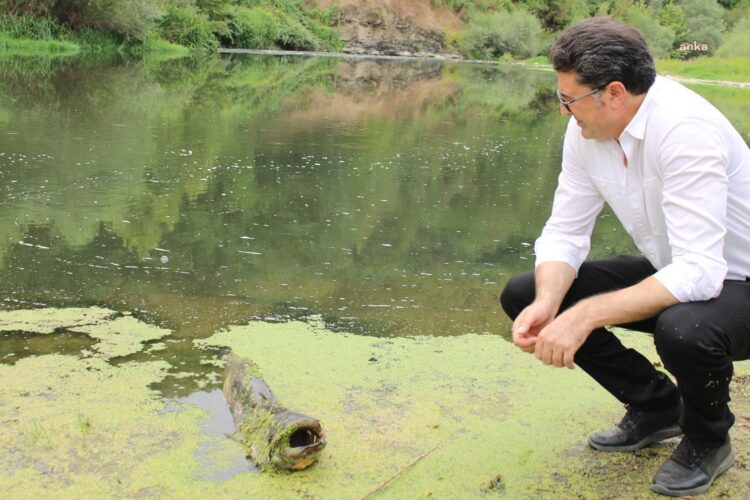 CHP’li Aytekin: “Kepsut’tan Marmara’ya zehir akıyor”