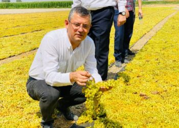 Özgür Özel’den tarım bakanına kuru üzüm çağrısı