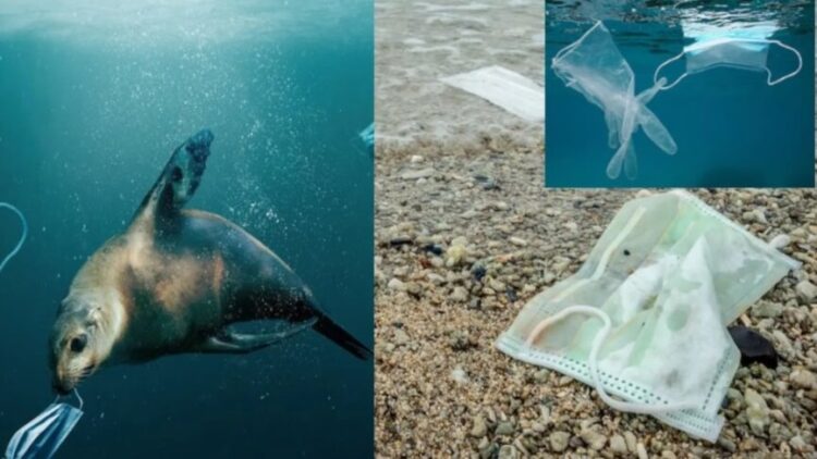 Okyanuslarda 1,6 milyar maske ‘yüzüyor’