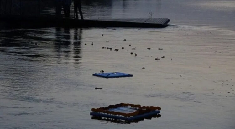 Öldürülen Romanlar için Meriç Nehri’ne çiçek bırakıldı