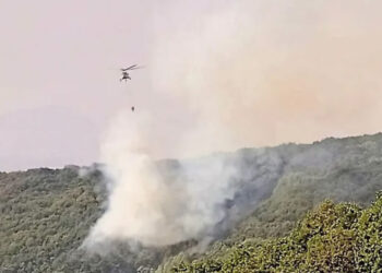 Tunceli’deki yangına 12 gün sonra havadan müdahale