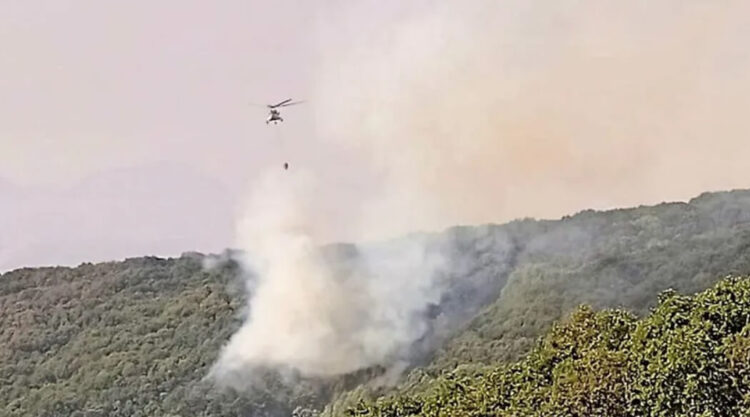 Tunceli’deki yangına 12 gün sonra havadan müdahale