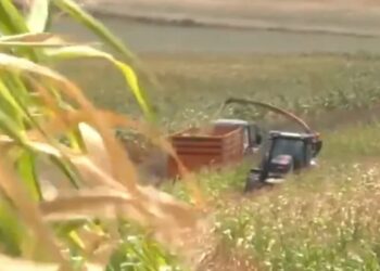 Ekrem İmamoğlu: Çılgın proje olacaksa böyle olsun