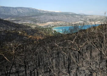 CHP’den Pakdemirli’ye tepki: Bu, milletin aklıyla alay etmektir