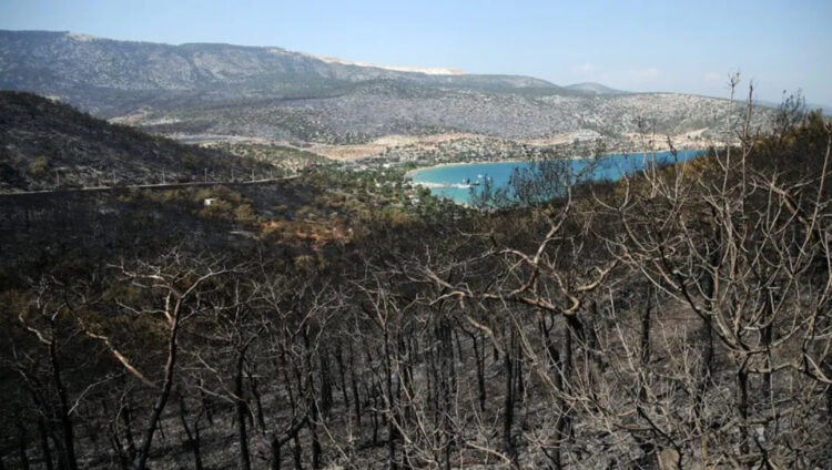CHP’den Pakdemirli’ye tepki: Bu, milletin aklıyla alay etmektir