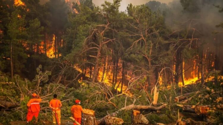 ‘6 ilde 13 orman yangınını kontrol altına alma çalışmaları sürüyor’