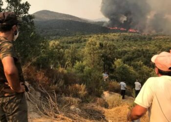 İklim krizinde ‘normale dönüş’ü unutun