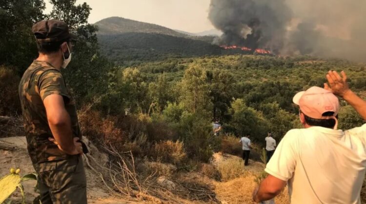 İklim krizinde ‘normale dönüş’ü unutun