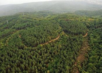 Orman yangınları için ayrılan 190 milyon TL’lik kaynak nerede?