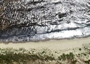 Kirlilik, Bandırma sahillerinin kumunu siyaha boyadı