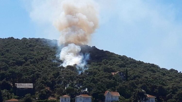 Heybeliada’daki yangın kontrol altına alındı