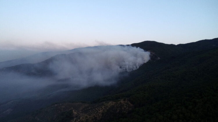 Kazdağları’ndaki yangın devam ediyor