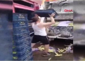Kasalarca sebzeyi çöpe attı, soruşturma başlatıldı
