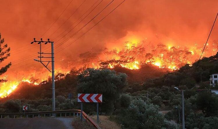 Başkan Tokat ‘yazıklar olsun’ deyip o fotoğrafı paylaştı